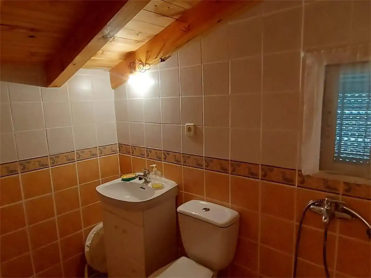 Baño de Casa o chalet en venta en Ribota con Jardín privado, Parquet y Trastero