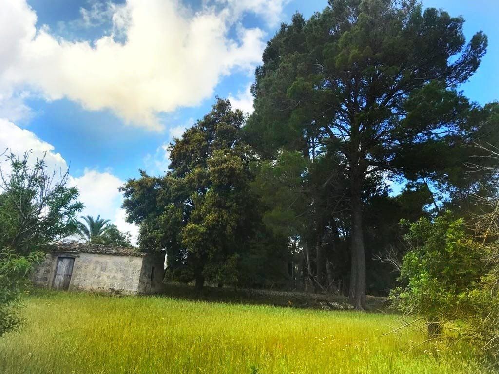 Finca rústica en venta en Selva
