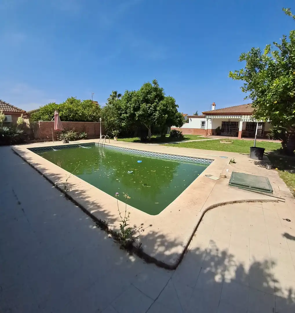 Piscina de Casa o chalet en venta en Palomares del Río con Aire acondicionado, Jardín privado y Terraza