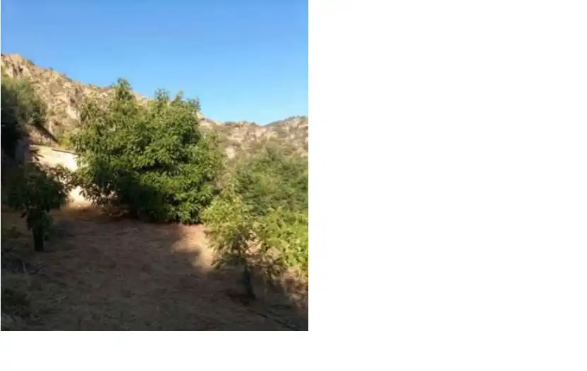Terreno rustico in vendita a Los Guájares
