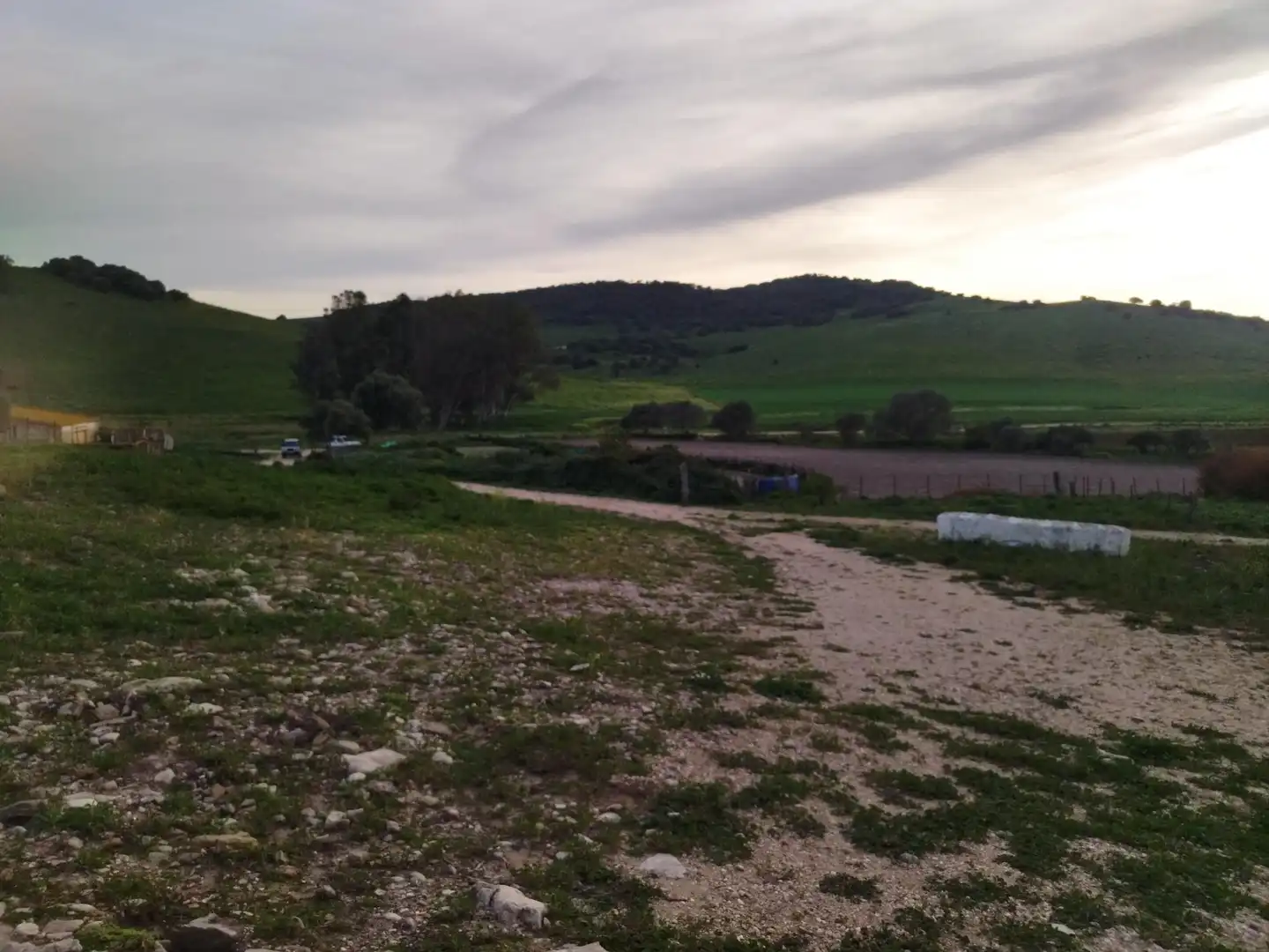 Terreni e lotti in vendita a Medina Sidonia, imagen 31