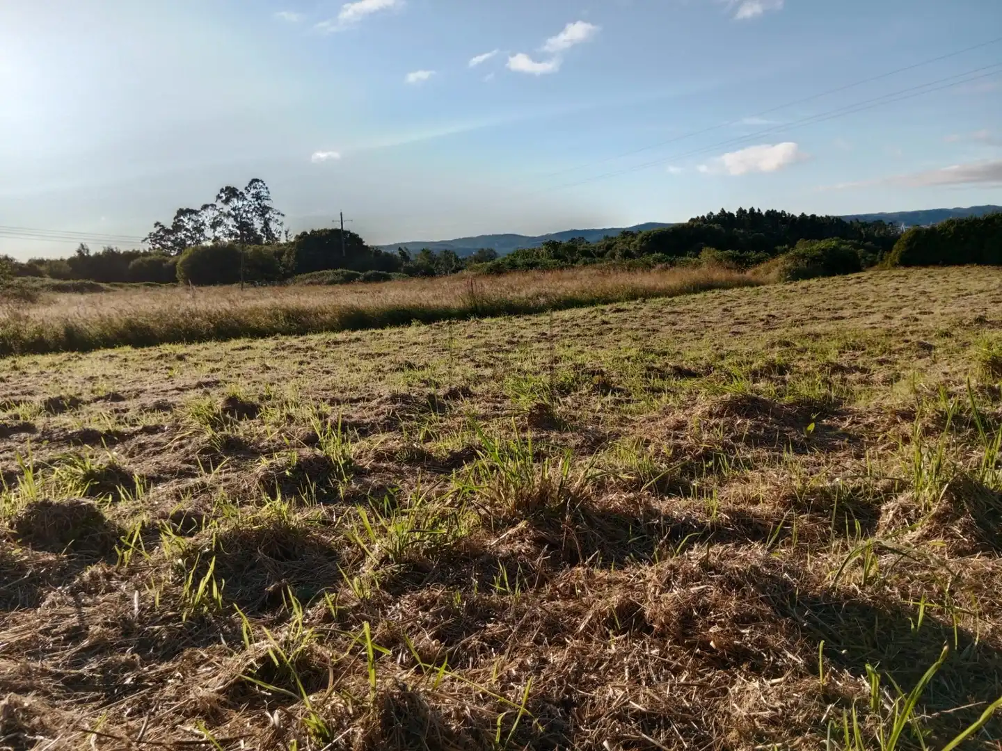 Residential for sale in Mugardos