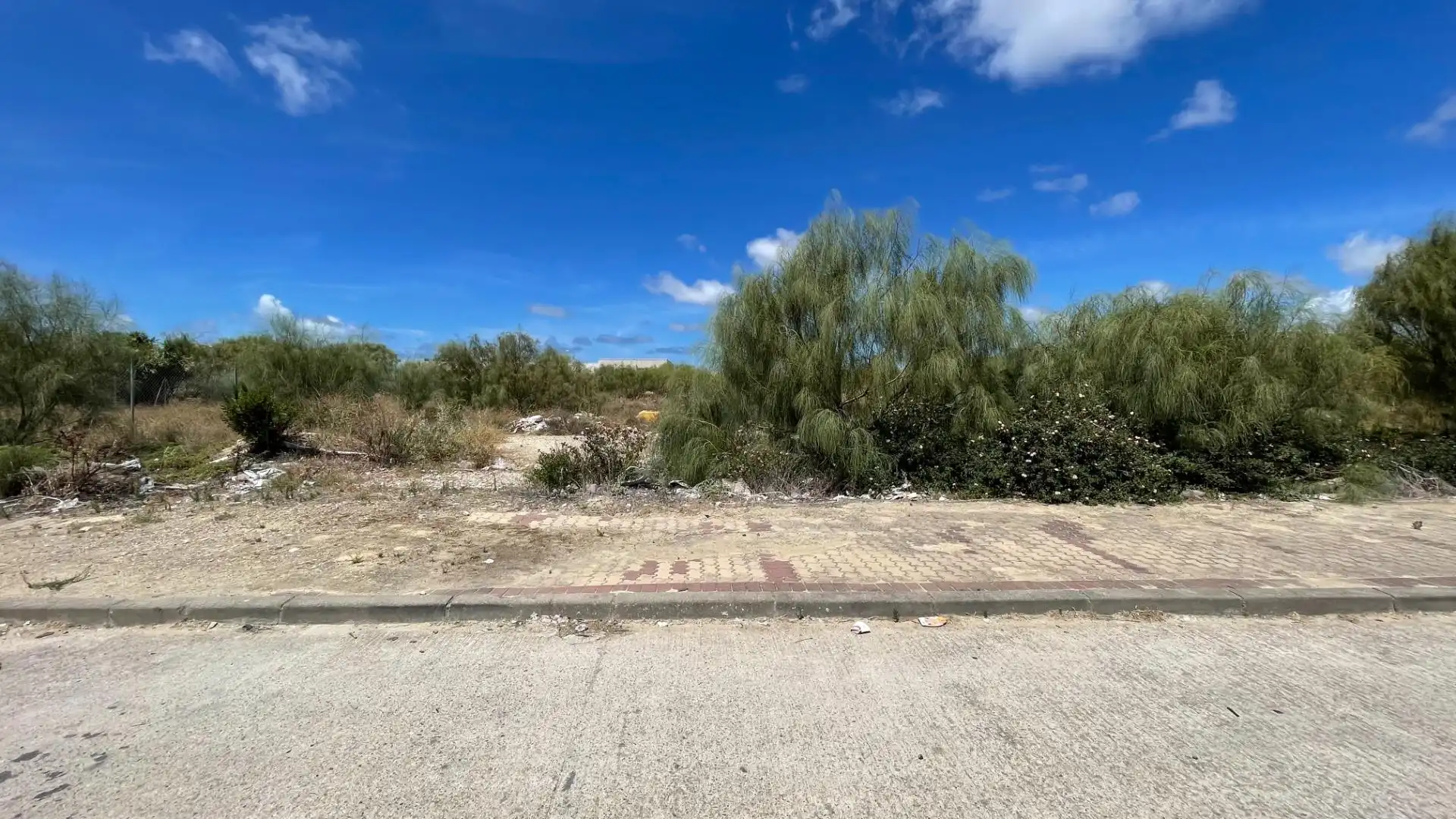 Terreny industrial en venda a El Juncal - Vallealto, imagen 8