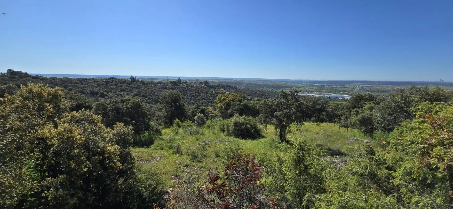 Terrenys i solars en venda a San Agustín del Guadalix pueblo, imagen 18
