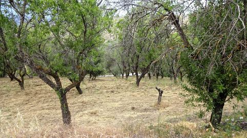 Foto 4 de Finca rústica en venda a Fuente del Lobo, Pinos Genil, Granada