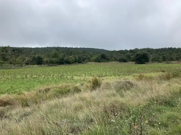 Terrain rustique à vendre à Passeig de la Mussara, imagen 9