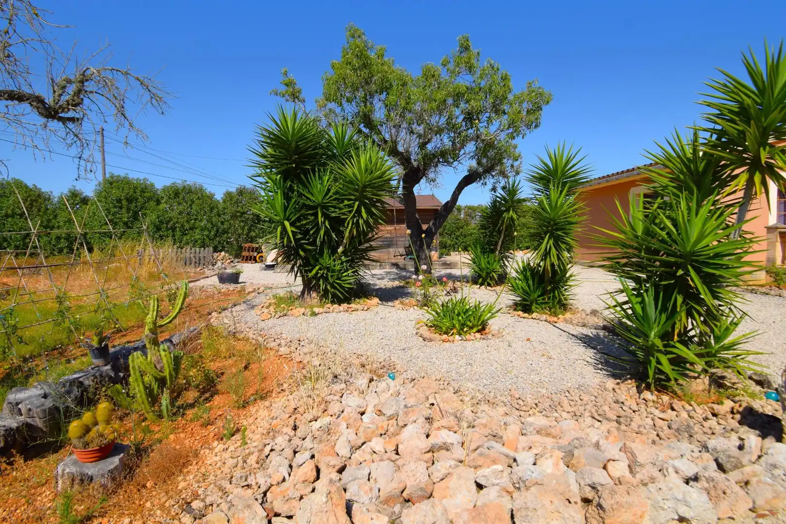 Casa rústica amb piscina en venda a Sencelles, imagen 56