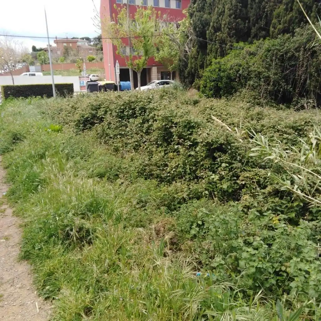 Terreny residencial en venda a Calle Torroella, imagen 7