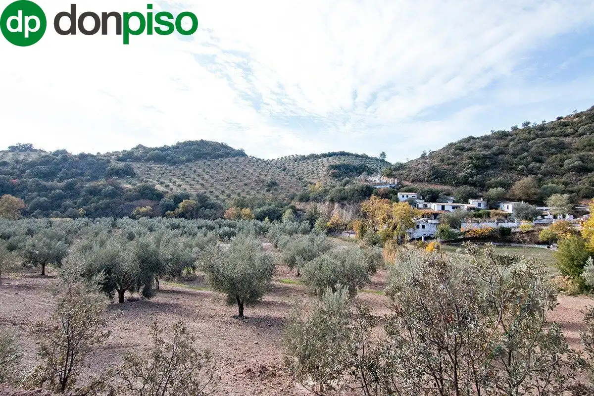 Casa rústica en venda a CORTIJO LA BARRAGANA, imagen 25