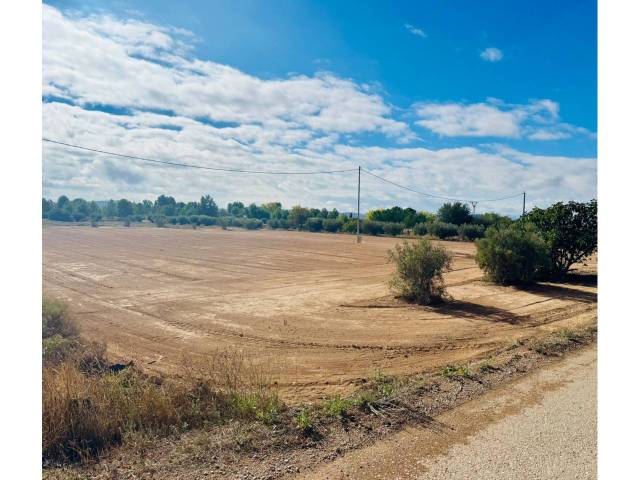 Terreno en Venta en Carretera de la paca en La Paca