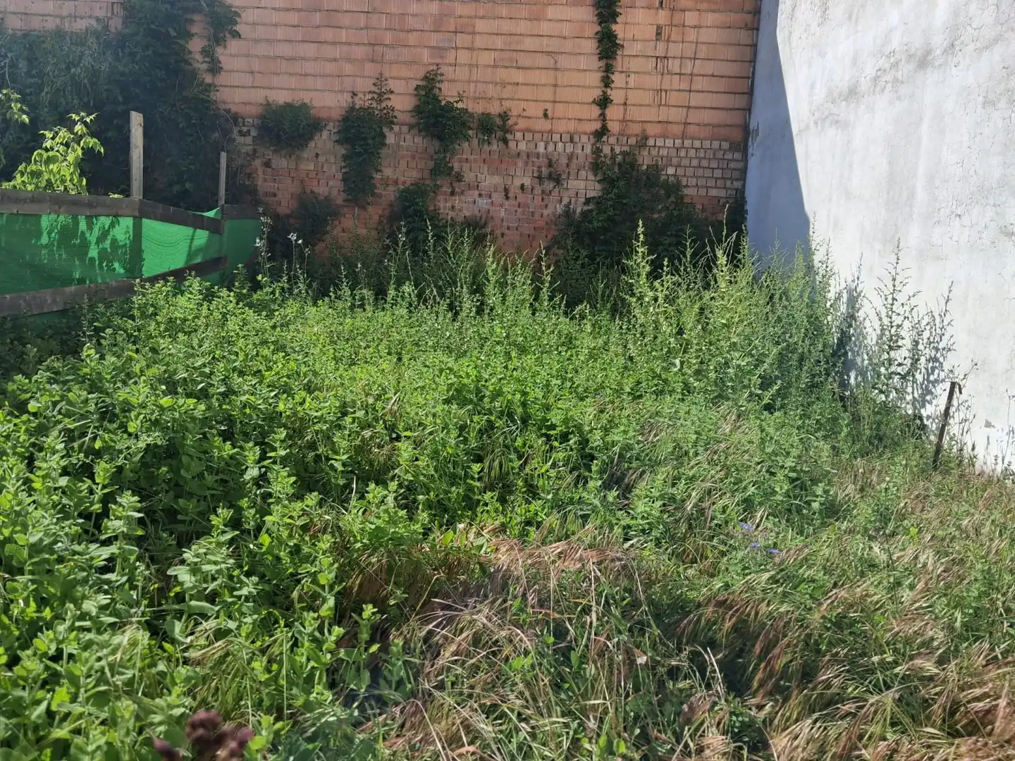 Grundstücke und Bauplätze zum Verkauf in Aracena