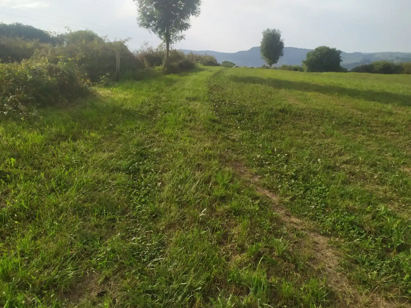 Terreni e lotti in vendita a Lloreda - LLOREDA, imagen 6