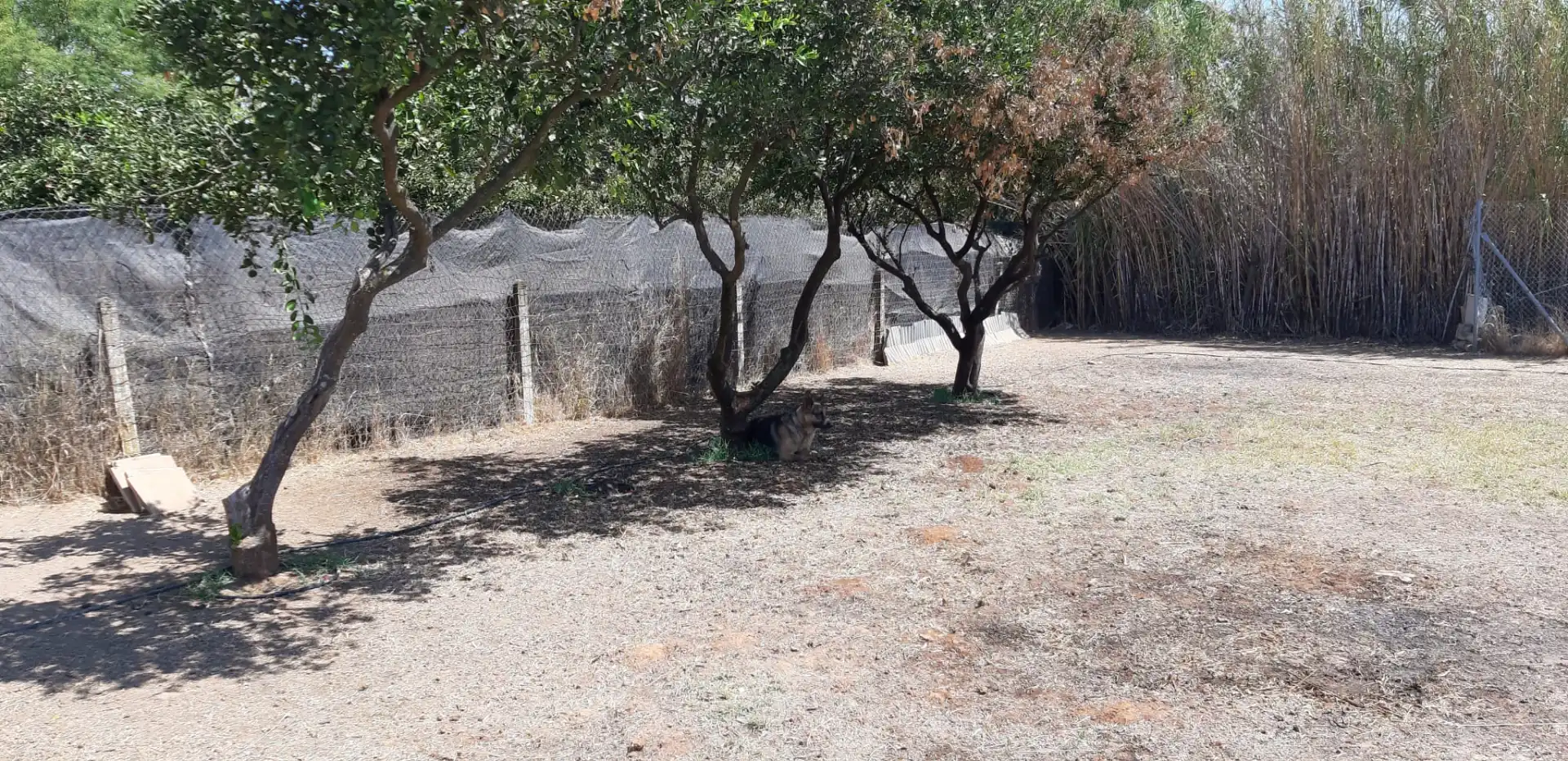 Finca rústica en venda en Aznalcázar