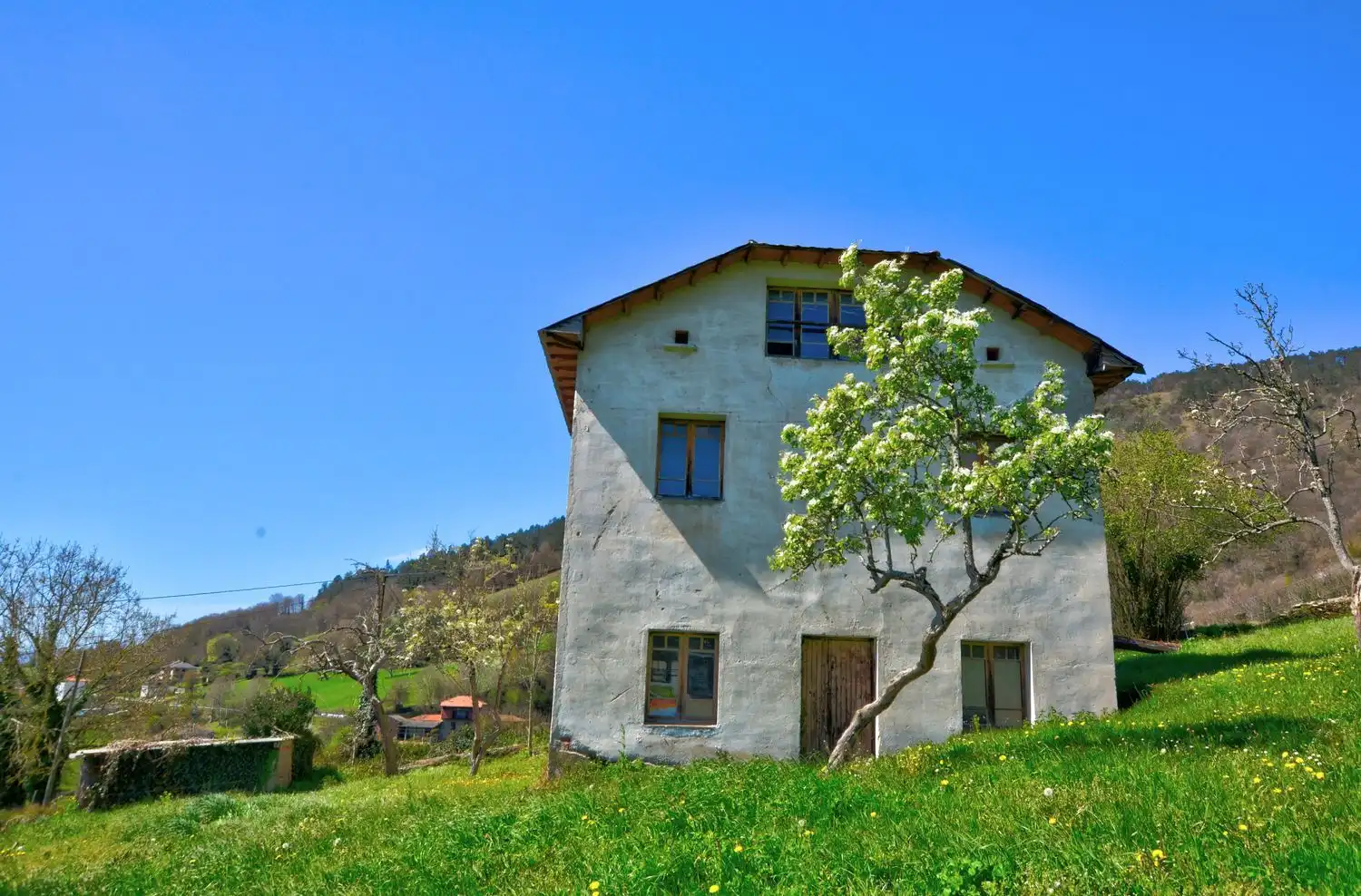 Vista exterior de Casa o chalet en venta en Tineo con Piscina