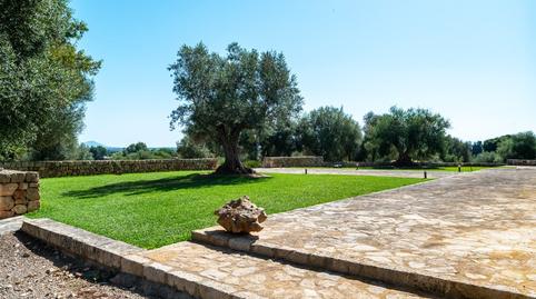 Foto 4 de Finca rústica en venda a Muro, Illes Balears