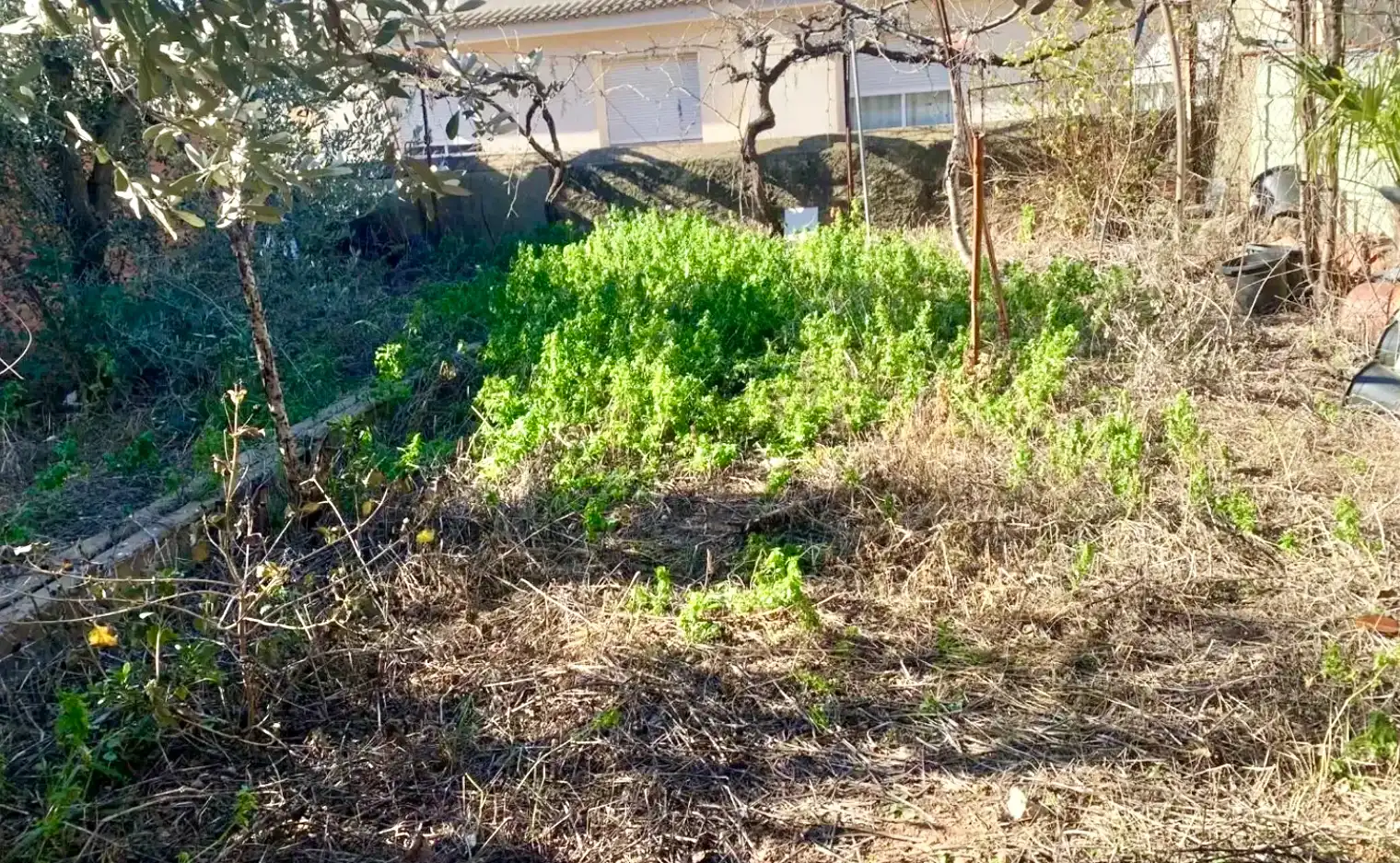 Terreno residencial en venta en Carrer Puig de la Creu 13, imagen 5