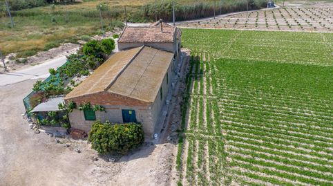 Foto 3 de Finca rústica en venda a Desamparados - Hurchillo - Torremendo, Orihuela
