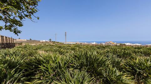 Foto 4 de Finca rústica en venda a Tejina, Santa Cruz de Tenerife