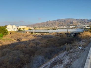 Terrain rustique à vendre à CARRETERA DE ALMERIA