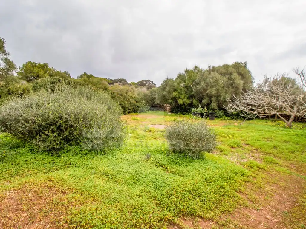 Finca rústica en venta en S'Algar - Alcaufar
