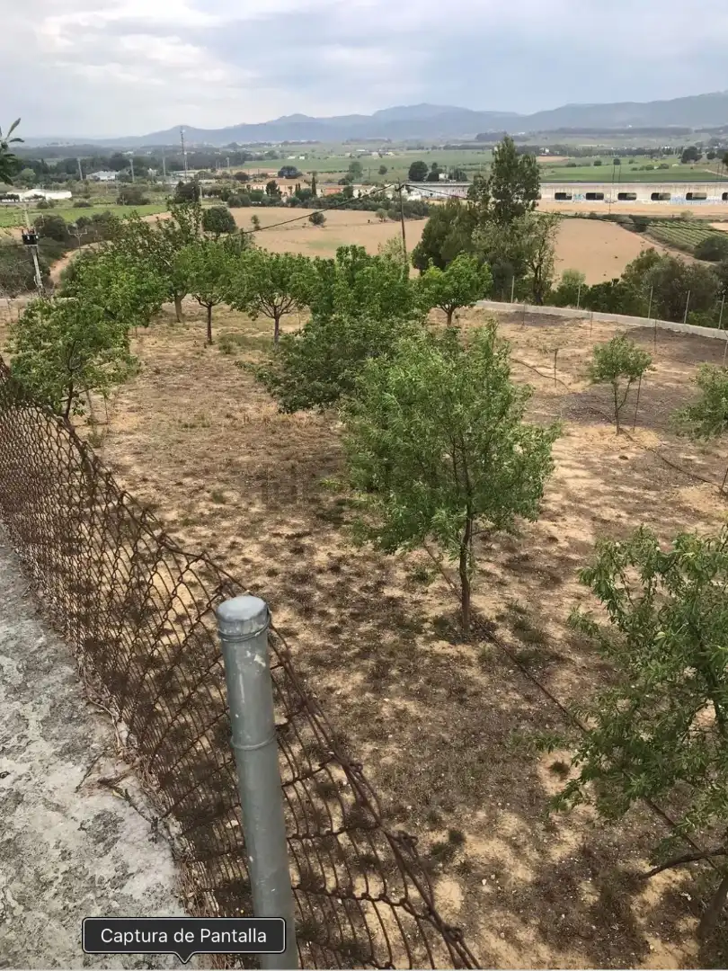 Finca rústica en venda a Carretera de Castellet, 114, L'Arboç