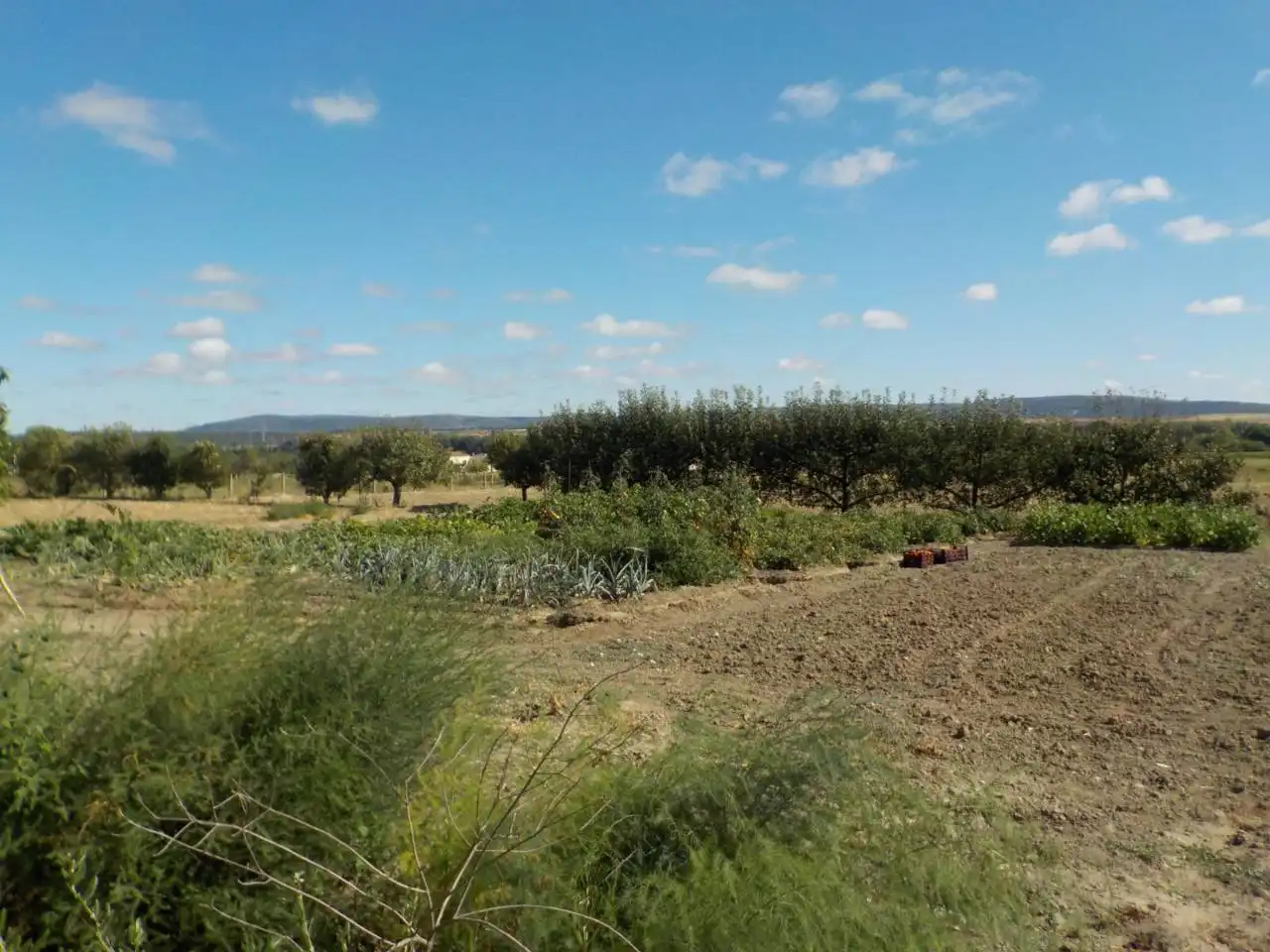 Detached house with garden for sale in Poligono 15, imagen 25