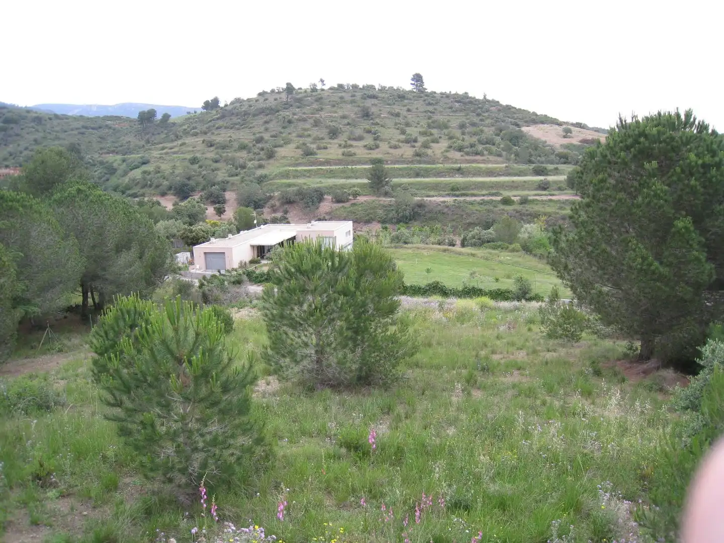 Wohnbaugrundstück zum Verkauf in Carrer del Pi 5, imagen 8