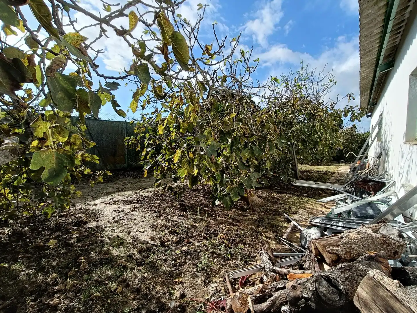 Finca rústica en venda en Jerez de la Frontera