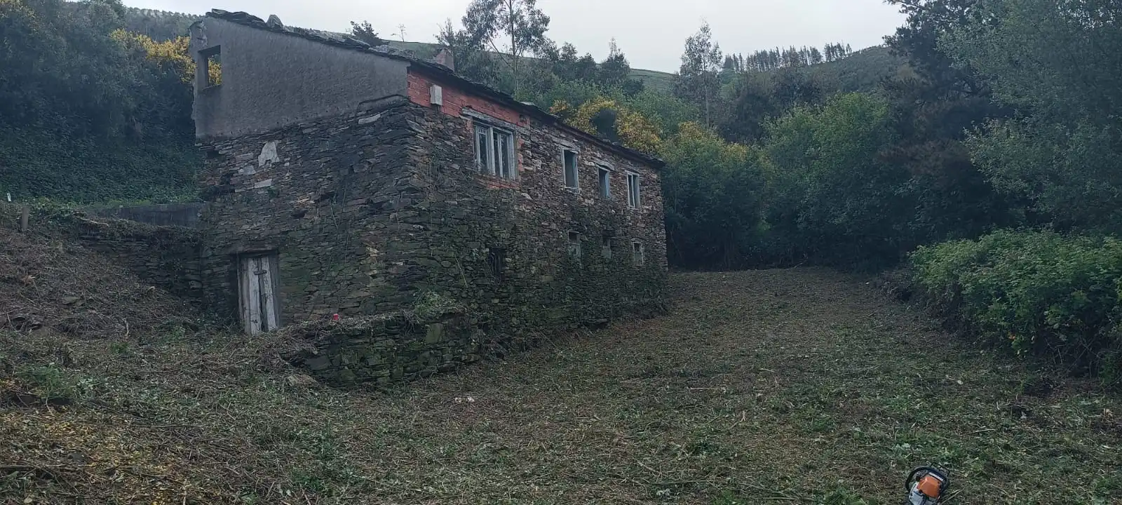 Vista exterior de Finca rústica en venta en Vegadeo
