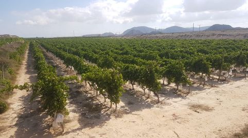 FINCA RÚSTICA, imagen 2
