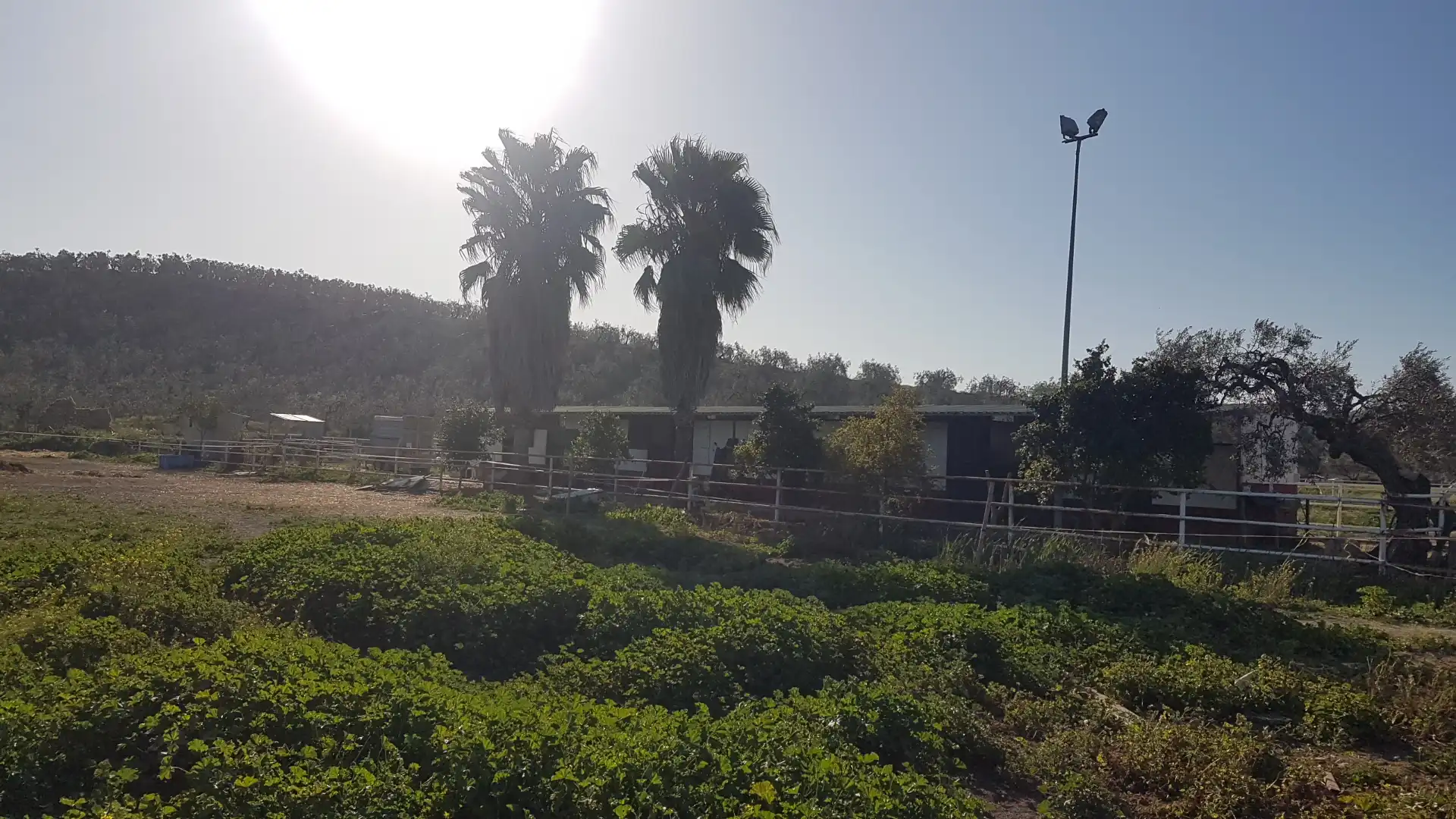 Terreni e lotti in vendita a Sanlúcar la Mayor, imagen 27