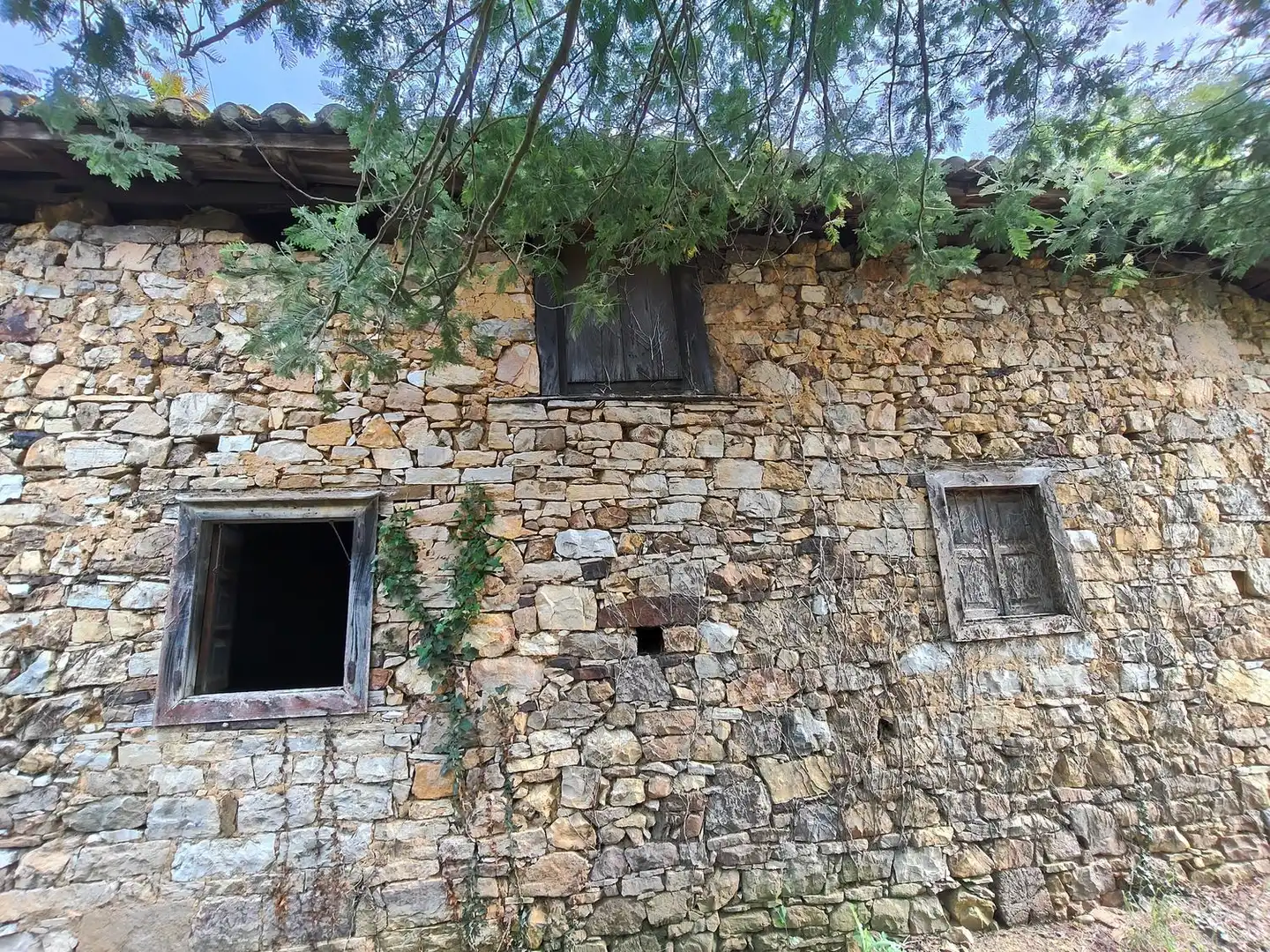 Vista exterior de Casa o xalet en venda en Salas amb Terrassa i Piscina