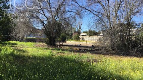 Venta de chalet de 6.903 m2 de terreno y 213 m2 construidos, con pozo legalizado en Sanlúcar La Mayor, imatge 5