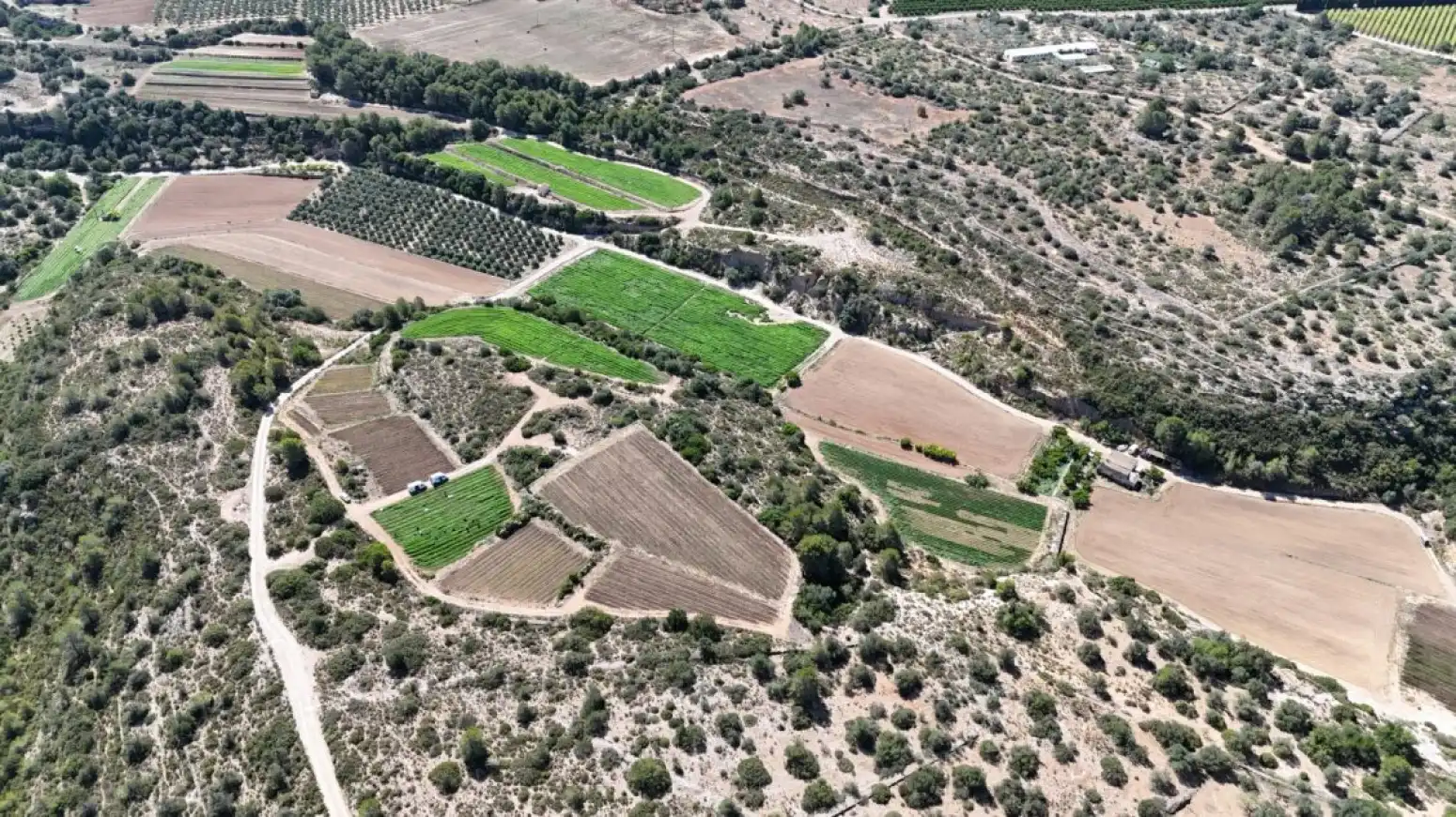 Terreno rustico in vendita a Benifallet - carretera C12, imagen 24