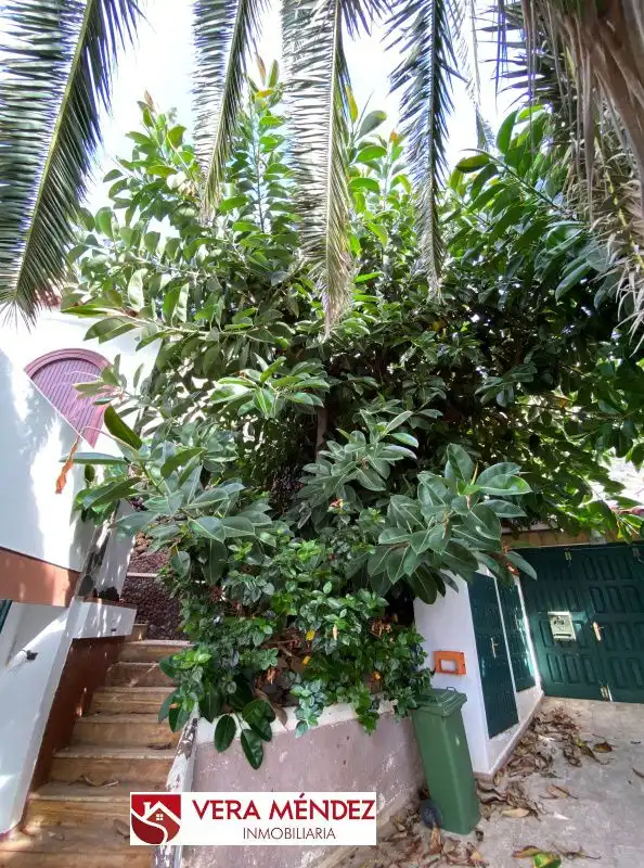 Jardí de Casa o xalet en venda en Tacoronte amb Jardí privat i Piscina