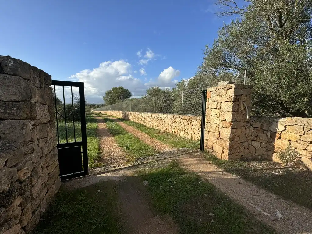 Terreny rústic en venda a Sa Cabaneta