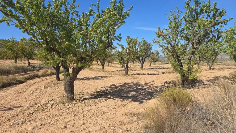 Residential land for sale in Salinas, imagen 3