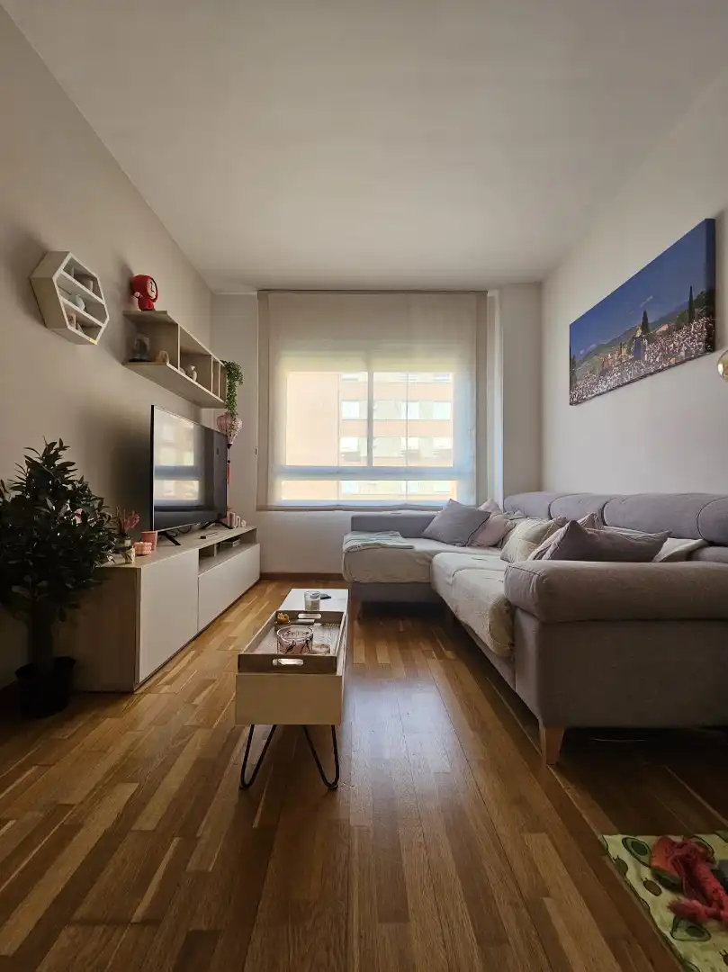 Sala de estar de Piso en venta en Barcelona con Parquet, Amueblado y Horno