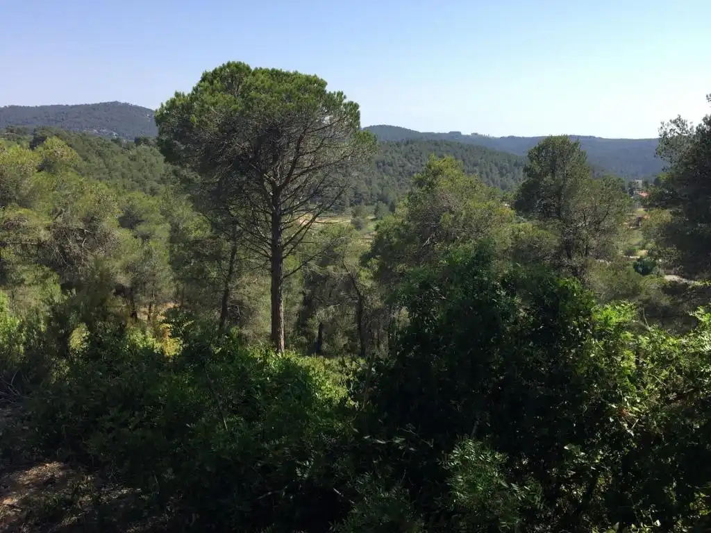 Terreny rústic en venda a BAIX PENEDES, imagen 4