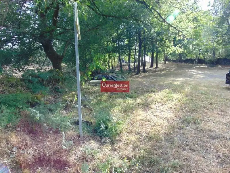 Terreni e lotti in vendita a Amoeiro, imagen 22