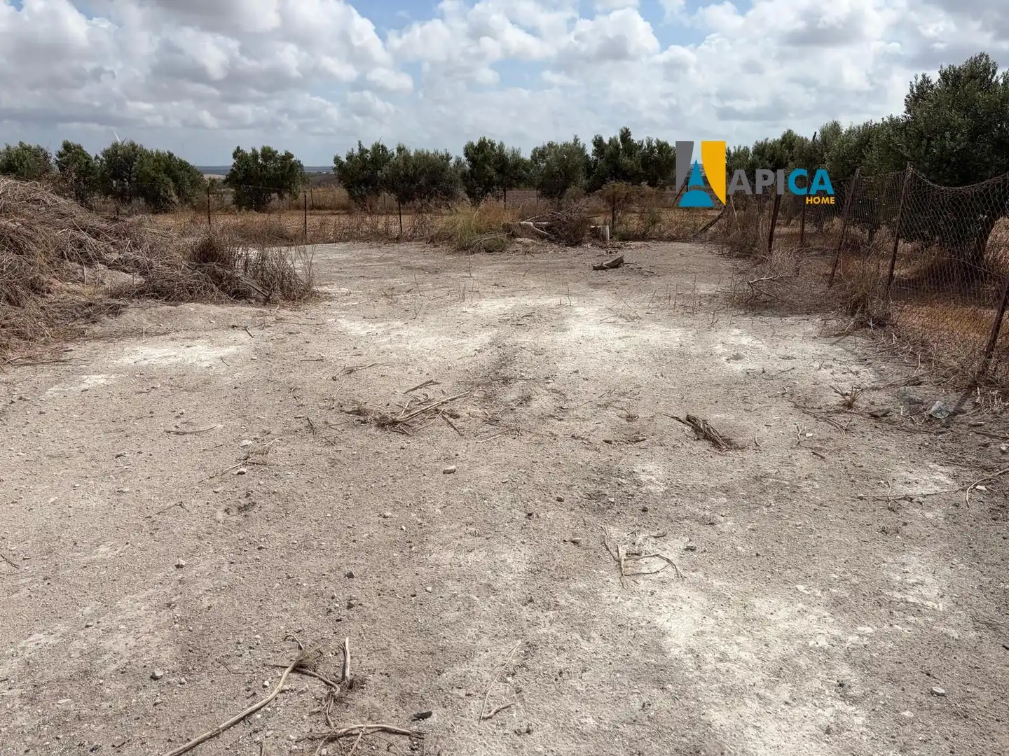 Rural land for sale in Los Franceses – La Vega, imagen 8