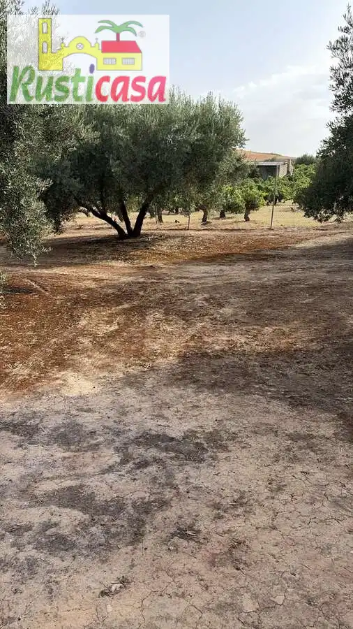 Xalet en venda a Bailén, imagen 6