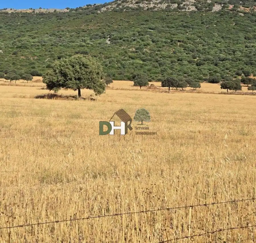 Terrenos y solares en venta en Santa María  - Pío XII, imagen 8