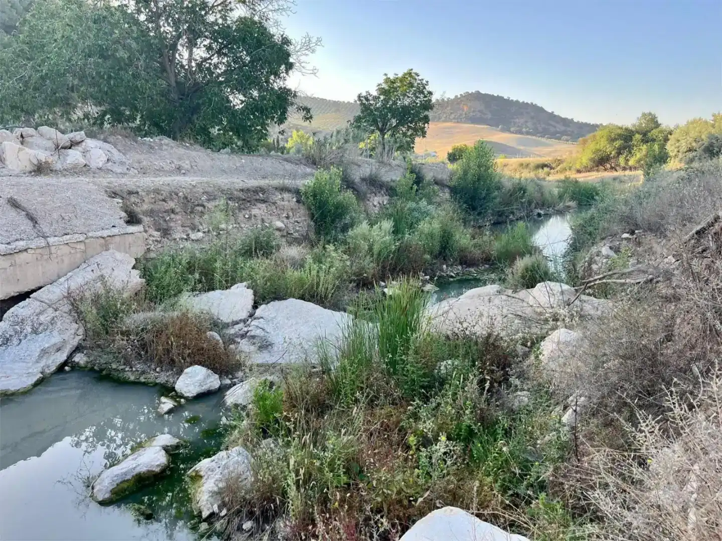 Vista exterior de Pis en venda en Loja amb Jardí privat, Traster i Piscina