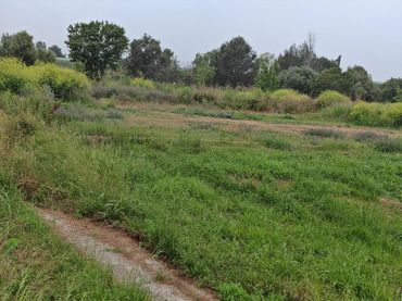 Terreno rustico in vendita a Proc. Simplificado, SN