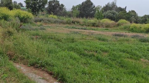 Venta de 12 fincarustica en paraje Proc. Simplificado Nº SN Cullera ValenciaValència