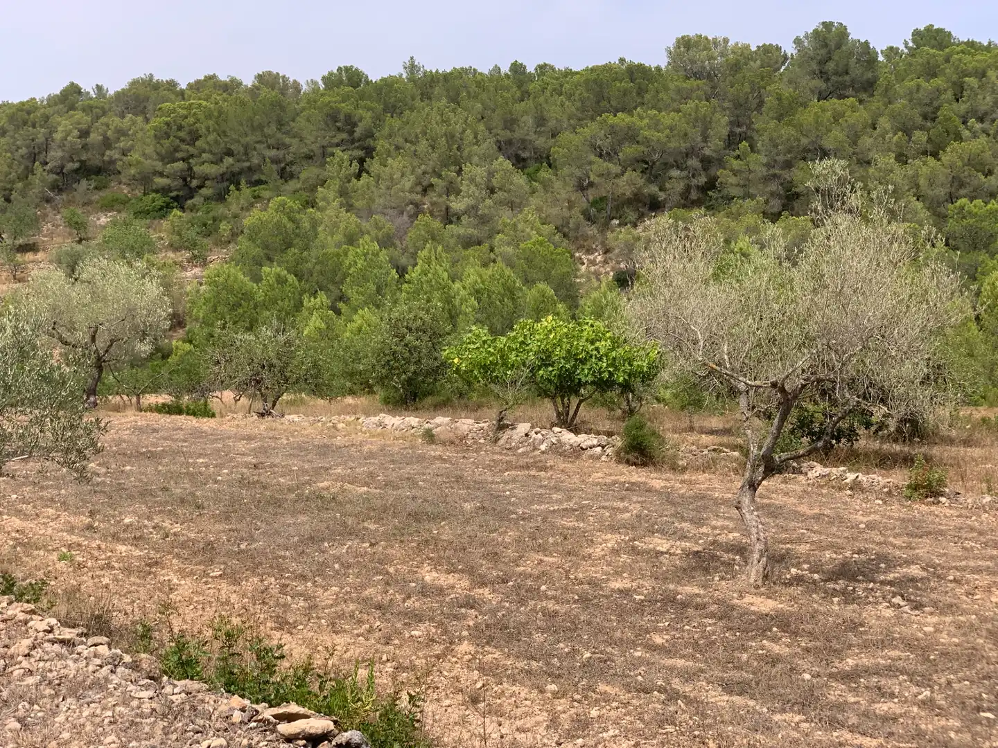 Country homes for sale in Tivissa  with Terrace