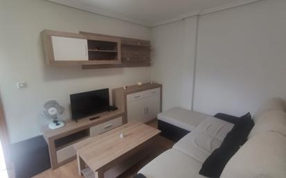 Sala d'estar de Apartament en venda en Ourense Capital  amb Moblat i Balcó