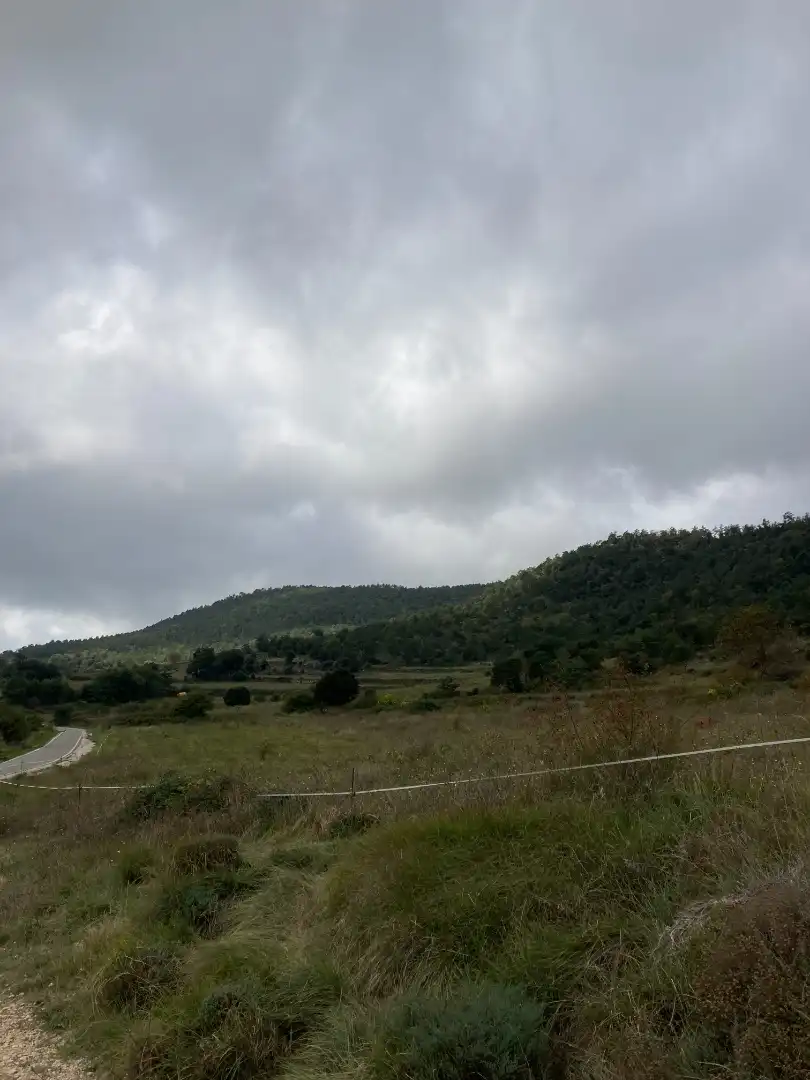 Terrain rustique à vendre à Passeig de la Mussara, imagen 22