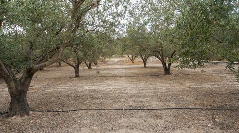 Photo 2 of Country house for sale in Camino Alejandro, Pechina, Almería